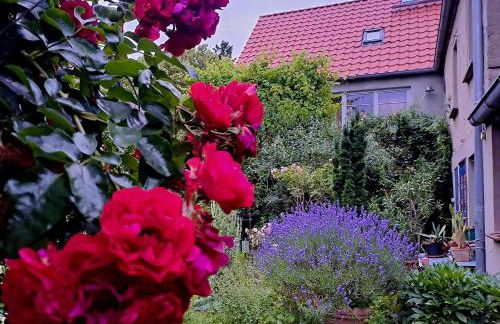 Haus an der Stadtmauer - Photo 19
