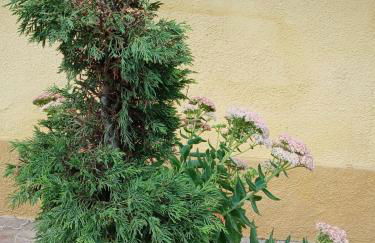 Casa vacanza il colle del vento - Foto 14