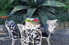 Barbara tra gli Ulivi - Foto 42