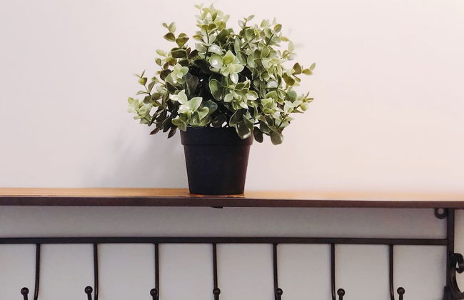 Three Bedrooms Two Bathrooms Entire Unit - Foto 18