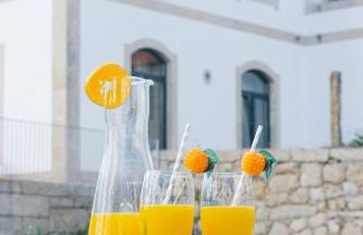 Quinta de Fiães - Foto 79