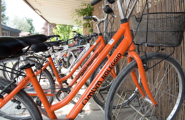 Country Resort Le Due Ruote - Foto 60