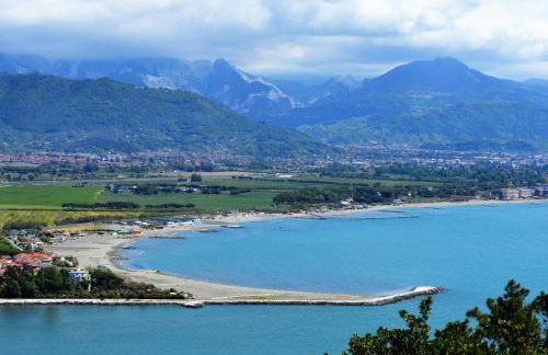 plumbago blue - Foto 13