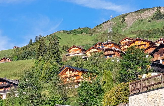 Alpage Immo Location Service - Foto 56