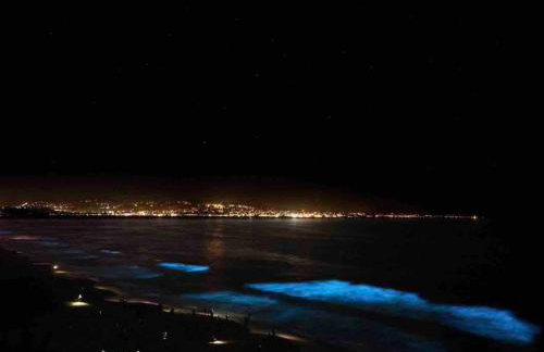 Monterey Bay Escape - Foto 39