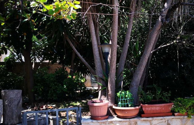 Onde e Gabbiani - Foto 24