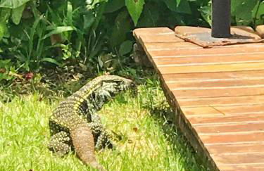 Maresias flat mata azul - Foto 57