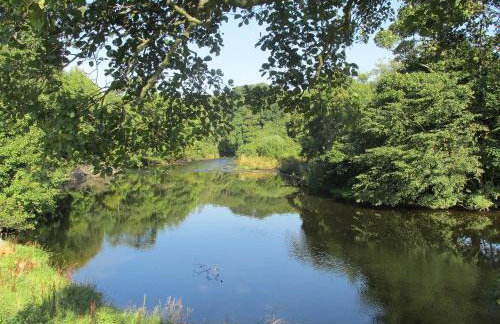 Lapwing Cottage - Foto 16