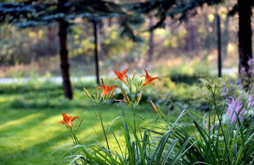 Leśna Strzecha - Foto 22