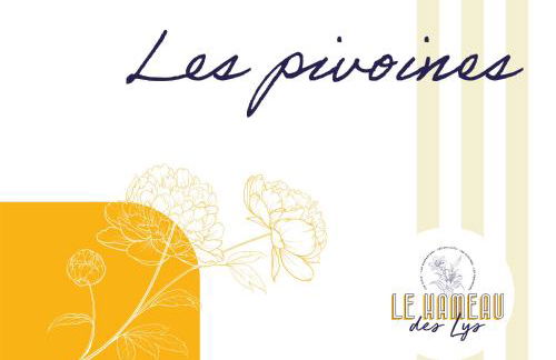 Le Hameau des Lys - 12min du PuyduFou - Photo 8