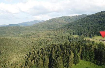 Domki na Zagroniu - Foto 12