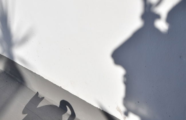 Gato Azul Coliving - Foto 22