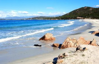 Camélia Plein Soleil Bord de Plage - Photo 31