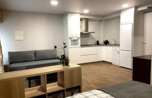 Casas da Bríxida. Apartamento accesibel - Foto 1