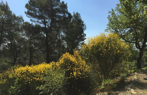 Villa de Carbonelle - Foto 40