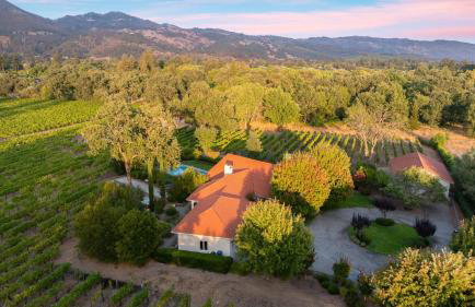 Vineyard Estate w Pool Spa Bocce Ball Mins to Wineries Park Lawndale Manor by AvantStay - Foto 49