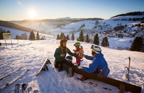 Berghof Almzeit - Fewo "Hüsli", Sauna, Todtnauberg, Feldberg - Foto 39