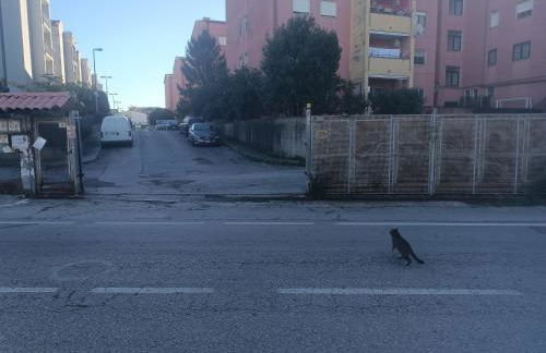 Tree home - Photo 34