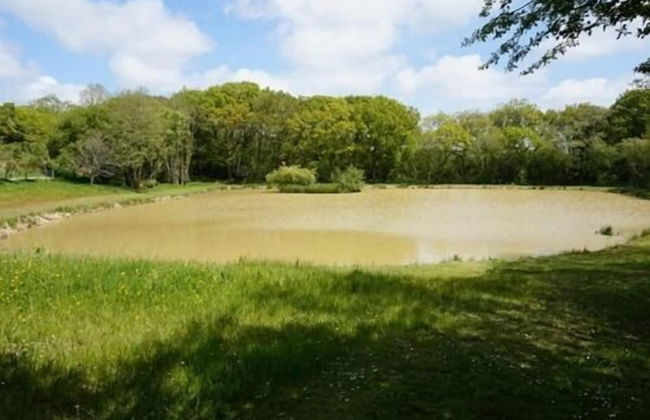 Leworthy Farmhouse - Foto 39