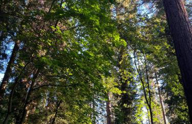 Ferienwohnung Burgenblilck - Photo 9