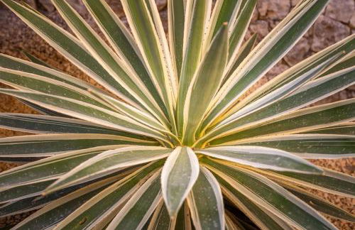 Spanish Style-Villa, heated pool & sea view - Photo 15