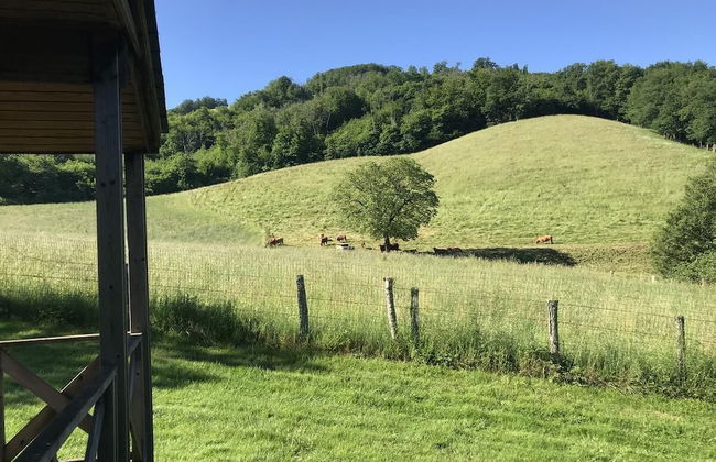 Village de Gite - La Cascade - Foto 21