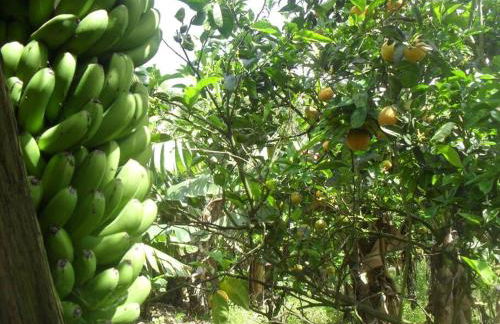 Quinta do Avô - Photo 9