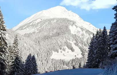 Appartement lumineux à La Chapelle-d'Abondance, vue montagne. - Foto 17