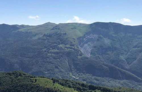 Appartement proche de la ville et du parc du Truchet - Foto 18