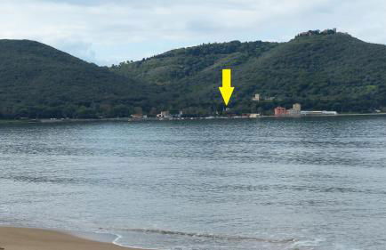 I Pesci nel golfo di Baratti - Foto 22