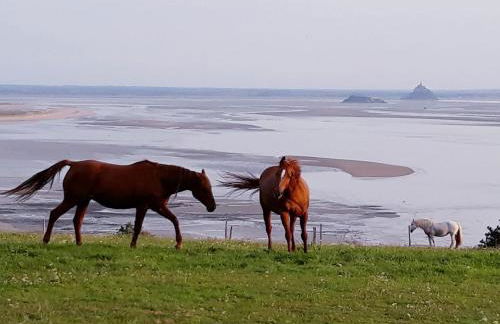 L'oeil du Mont vue unique sur le Mont St Michel - Foto 1