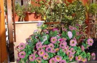 Al Vicoletto - Foto 45