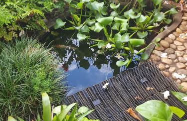 APART STUDIOS PONTAL - Aeroporto a 300 m - Praia 1,5 Km - Centro 2,5 Km - Cozinha Privativa - Mercado GBARBOSA e Padaria 450 m - Próx diversos Comércios a pé - Ar condic - Studios de 15 a 38 m2 Bem Equipados e Funcionais - Ideal Turismo e Trabalho - Foto 48