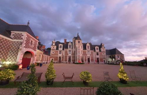 GITE LOFT DE 15 PERSONNES AU CHATEAU DE JALLANGES VOUVRAY - Foto 23