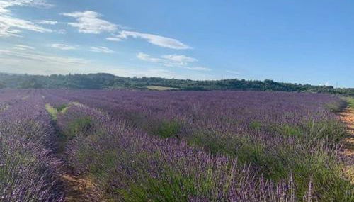 Côté Verdon - Foto 5