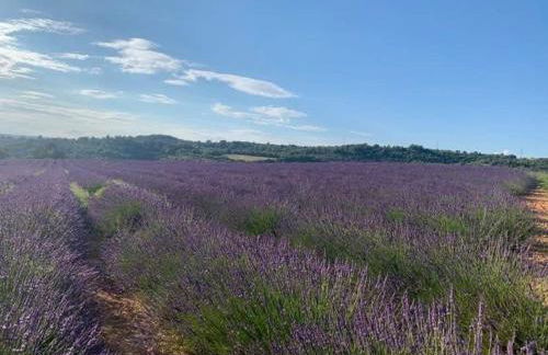 Côté Verdon - Foto 5