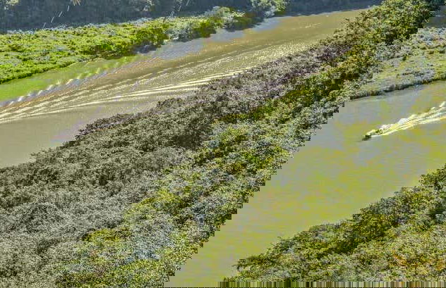 Plantações de cana-de-açúcar e Higüey + Passeio de barco pelo rio Chavón - Foto 2