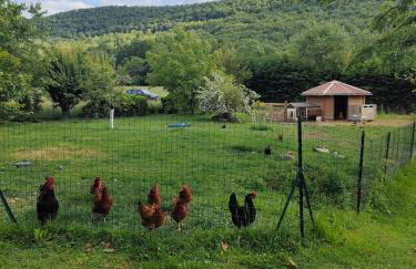 Gîte au coeur du Plantaurel - Foto 10