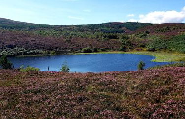 Highland Glen Lodges - Foto 25