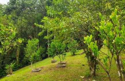 Casa Dona Zezé - Photo 41