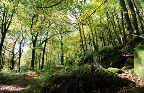 3 Bed in Blakeney oc-75010 - Foto 21