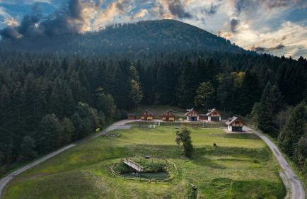 Domki w Kasinie - Foto 1