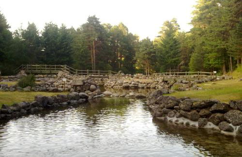 La Hijuela - Foto 12