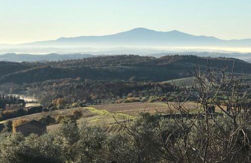 Borgo San Gusmè - Foto 19