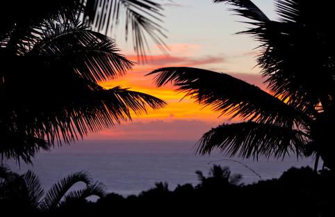 Maui Eco Retreat - Foto 21