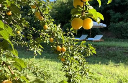 Villa Maison Ellen - Luxury Garden, Colli Euganei - Foto 6