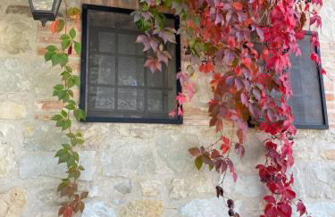 Agriturismo Cà Monduzzi - Foto 45