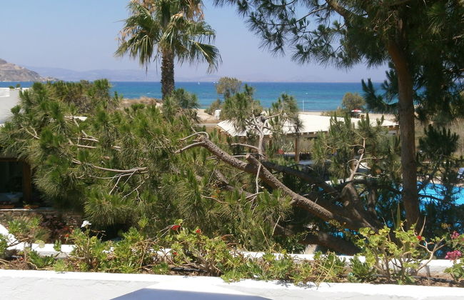 Alkyoni Beach Hotel - Photo 52