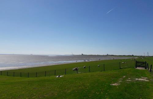 Büsumer blaue Krabbe - Foto 41