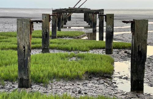 The Old Station, Station House, Snettisham Norfolk - Foto 34